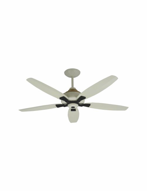 Ceiling Fan Astro