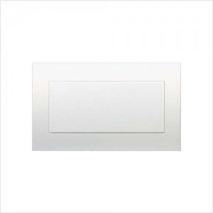 Blank Plate Large