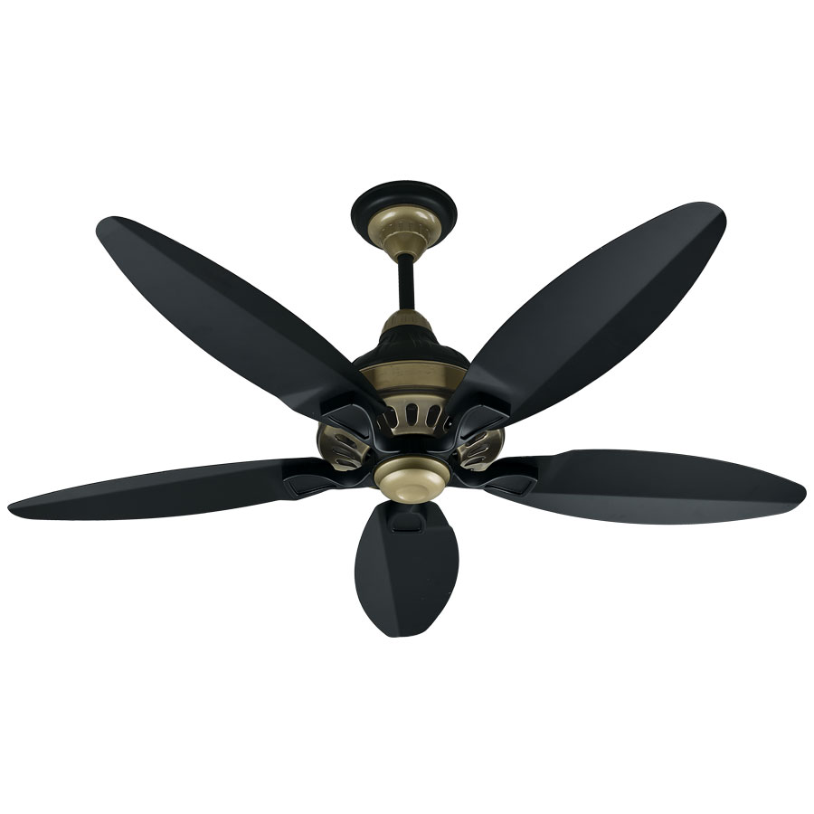 Ceiling Fan Grace