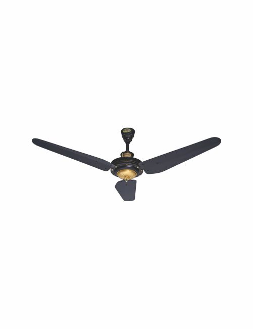 Ceiling Fan Heritage