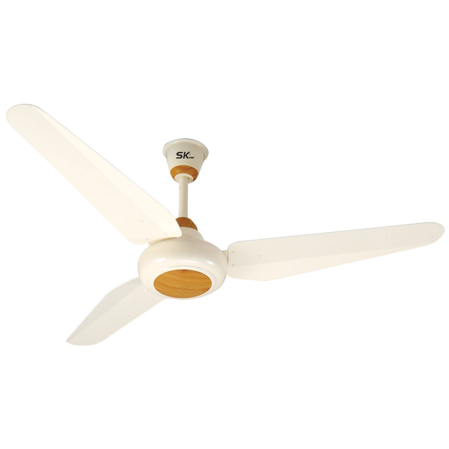 Ceiling Fan Victoria